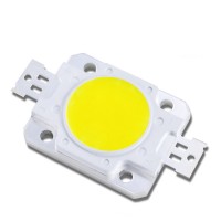 30W White R6C COB White light