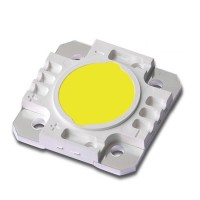 30W White J1C COB White light