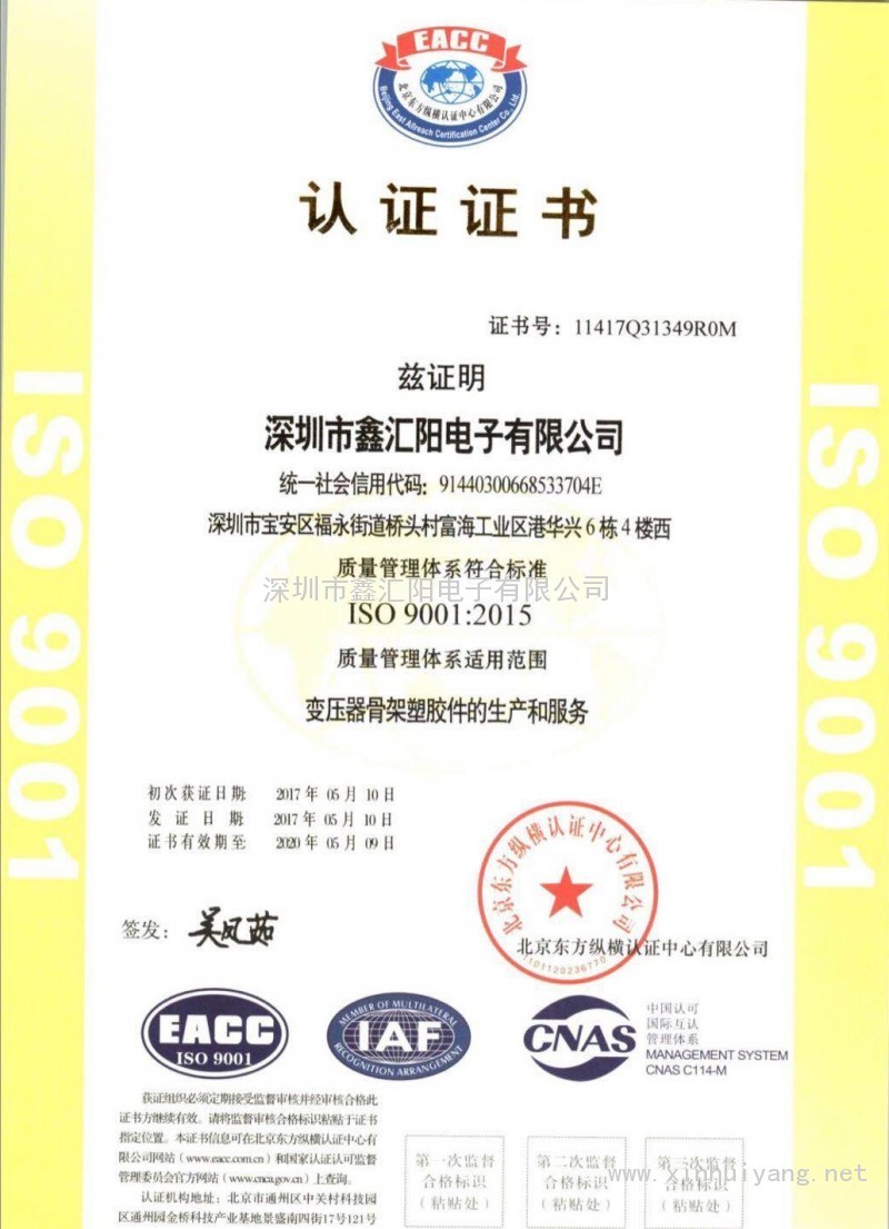 ISO 9001:2015中文版