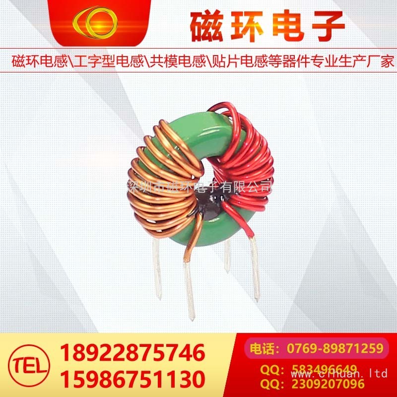 磁环电感16