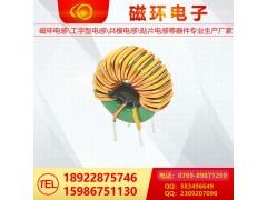 磁环电感19图2