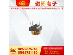 磁环电感21图2