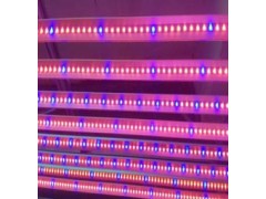 10W LED植物灯灯管图1