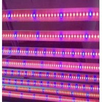 10W LED植物灯灯管