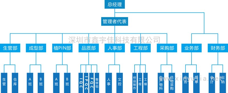 组织架构