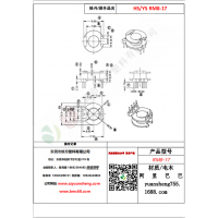 RM8(6+2)-17变压器骨架