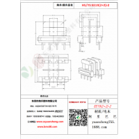 EE19（2+2）-2变压器骨架
